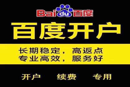 百度竞价广告投放技巧及某行业成功案例